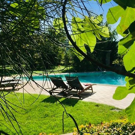 La Taverna Fra Le Colline Arezzo Zewnętrze zdjęcie