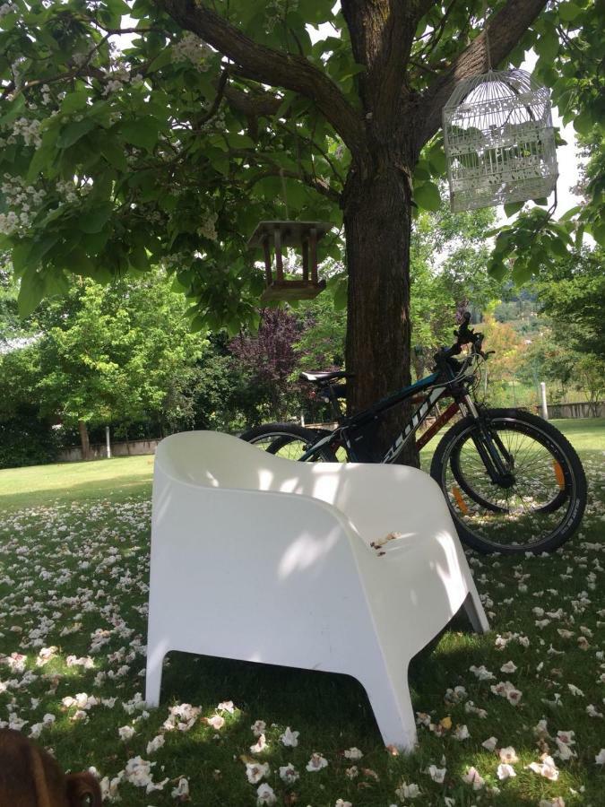 La Taverna Fra Le Colline Arezzo Zewnętrze zdjęcie
